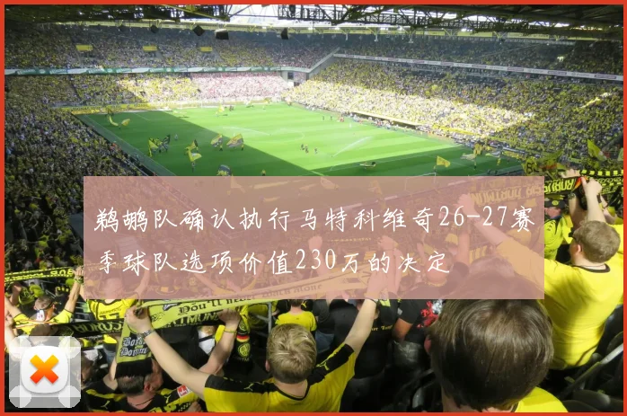 鹈鹕队确认执行马特科维奇26-27赛季球队选项价值230万的决定