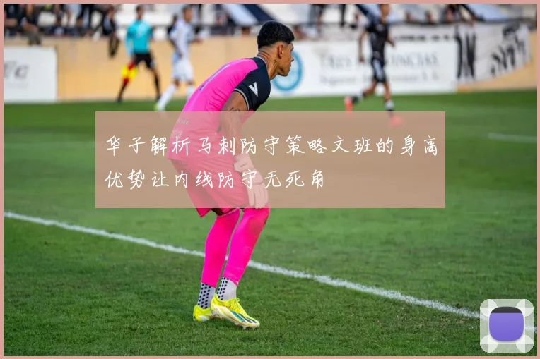 华子解析马刺防守策略文班的身高优势让内线防守无死角